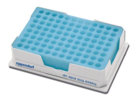 PCR-Cooler  blau