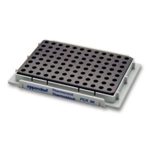 Thermorack u.-block PCR 96x(c)